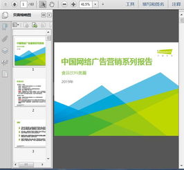 2019年中国网络广告营销系列报告 食品饮料类篇62页网络文化经营深度解析